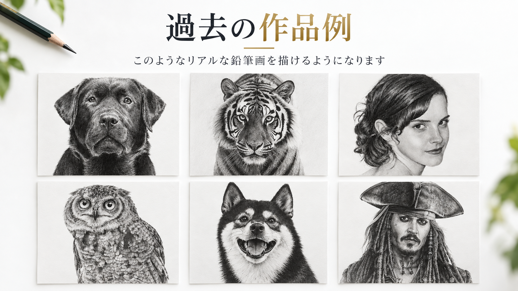 教室で身につけられるリアルな動物画と人物画の作品例